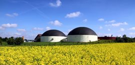 Biomasse e biogas (digestori anaerobici)